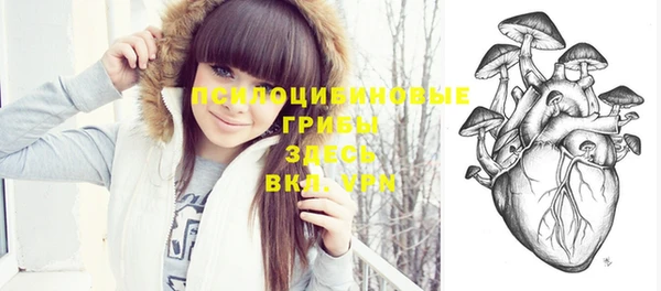 прущая мука Богородицк