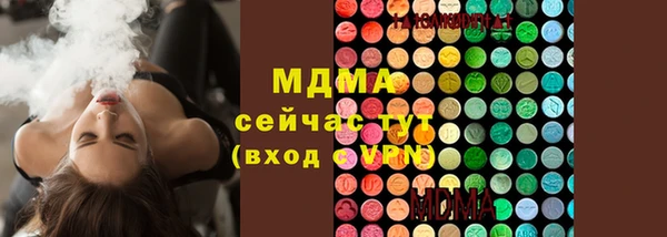 spice Богородск