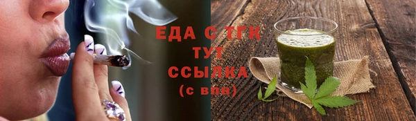 spice Богородск