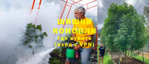 прущая мука Богородицк