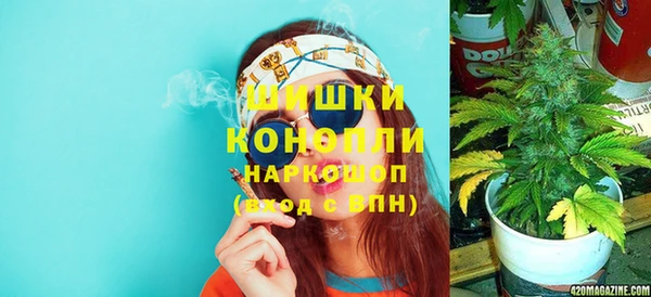 spice Богородск