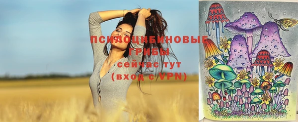 прущая мука Богородицк