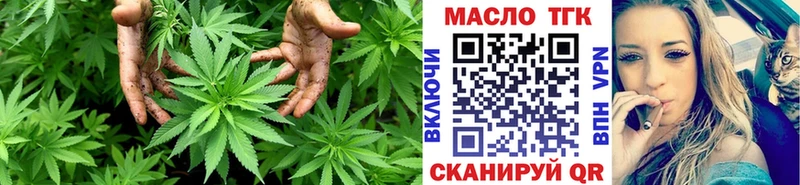 blacksprut как зайти  Кореновск  Дистиллят ТГК THC oil 