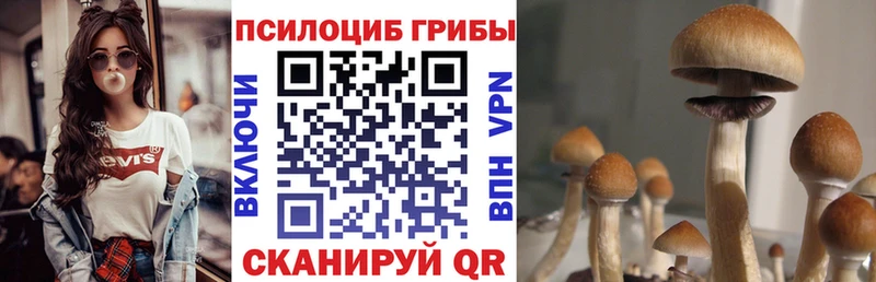наркота  Кореновск  Псилоцибиновые грибы прущие грибы 